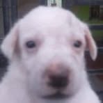 Ignacio Escalera - Facebook
