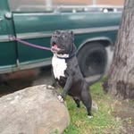 Ignacio Escalera Álvarez - @ignacioescaleraalvarez - Instagram