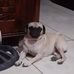 Ignacio Lopez - Facebook