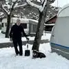 Ignacio Losada - @ignacio.losada2 - TikTok