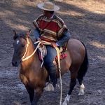 José Ignacio Manzo Huenche - @jose_manzo_huenche - Instagram