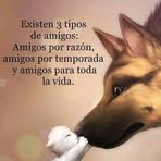 Ignacio Mendiola - Facebook