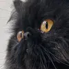 Ignacio Moctezuma - @ignacio.moctezuma3 - TikTok