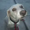 Ignacio Montejano303 - @ignaciomontejano0 - TikTok