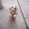 Ignacio Montejano - @ignacio.montejano - TikTok