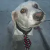 ignaciomontejano9 - @ignaciomontejano9 - TikTok
