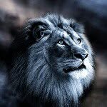 Ignacio Moore - @ignac7510 - Instagram