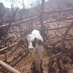 Ignacio Morin - Facebook