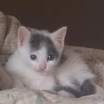Juan Ignacio Iribarren Olivieri - @nachoiri2332 - Instagram