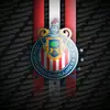 Ignacio Olmos - @ignacioolmos5 - TikTok