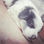 Martín Ignacio Ordóñez Paz - @ordonez_kpd15b - Instagram