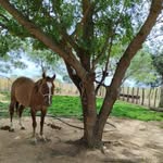 José Ignacio Orta - @joseignaciorta - Instagram