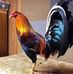 Ignacio Otero - Facebook