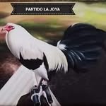 Ignacio Pallares - @ignaciopazu1976 - Instagram