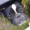Ignacio Pallares - @ignacio.pallares5 - TikTok