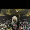 Ignacio Palma - @ignacio.palma5 - TikTok