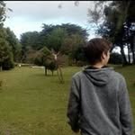 Ignacio Palma Monsalve - @ignaciopalmamonsalve - Instagram