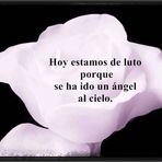 Ignacio Perez Payan - Facebook