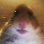 Ignacio_López_Pedroza - @ignacio_lopez_pedroza - Instagram