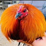 Ignacio Pedroza - @pedroza8308 - Instagram