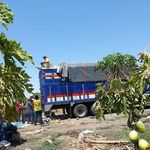 Ignacio Plancarte - @plancarteignacio - Instagram