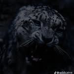Ignacio Ponce - @x._.ignaaacio._.x - Instagram