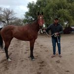 Ignacio Ponce - @gallardo.valen_04 - Instagram