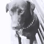 Ignacio Quevedo - @nachoquevedo08 - Instagram