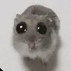 Ignacio Ramirez - @ignacio.ramirez253 - TikTok