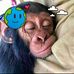 Ígnacio Ramos - Facebook