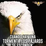 Juan Ignacio Raygoza Jacinto - Facebook