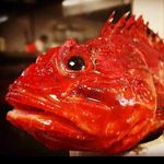 Francisco Ignacio Rivera Tellado - @ignaciorivera8220 - Instagram