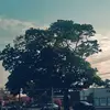 Ignacio Rivera - @ignaciorivera452 - TikTok