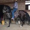 Ignacio rojo - @cuadrasantamartha - TikTok