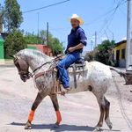 Ignacio Romo Aguirre - @ignacioromoaguirre - Instagram