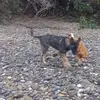 Ignacio Flores Ronquillo - @ignacio.flores.ro3 - TikTok