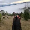 Cesar Ignacio Rosas Catalan - @cesar.ignacio.ros - TikTok