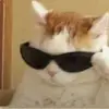 Ignacio Ríos - @ignacio.ros - TikTok