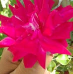 Ignacio Ruelas - Facebook