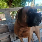 Ignacio Ruelas - Facebook