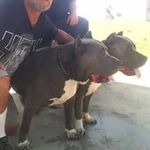 Ignacio Trevino - @ignacio.trevino.52 - Instagram