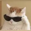 Ignacio Villa - @ignacio.villa10 - TikTok