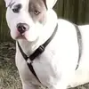 Ignacio Villa - @ignacio.villa665 - TikTok