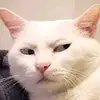 EDWARD✓ - @wardignacio - TikTok