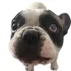 hignacioward - @hignacioward - TikTok