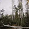 ignacioward - @ignacioward - TikTok