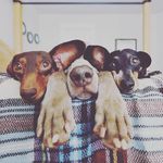Игорь Чернышев - @igor_chernyshev88 - Instagram