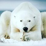 Игорь - @igor_chernyshev_spb - Instagram