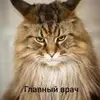 Igor Goldman - @igorgoldman2807 - TikTok