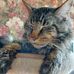 Igor Smirnov - Facebook
